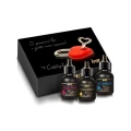 Kit Meu Primeiro Anal (dessensibilizante + gloss + lubrificante) - Intt